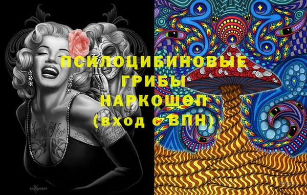 сатива Алексин