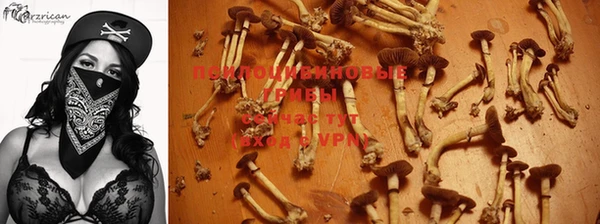 гашик Алексеевка