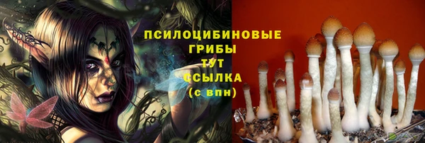 сатива Алексин