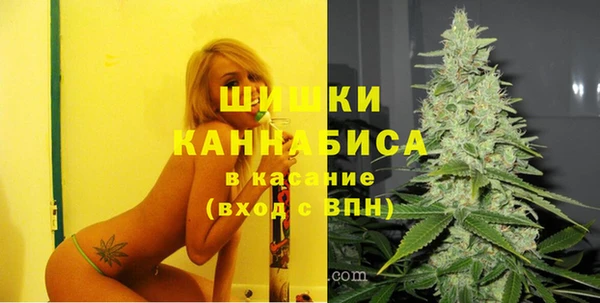 сатива Алексин