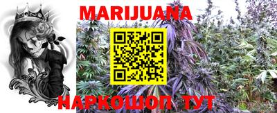 сатива Абакан