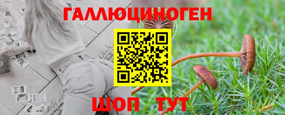 Псилоцибиновые грибы ЛСД  Лесосибирск 