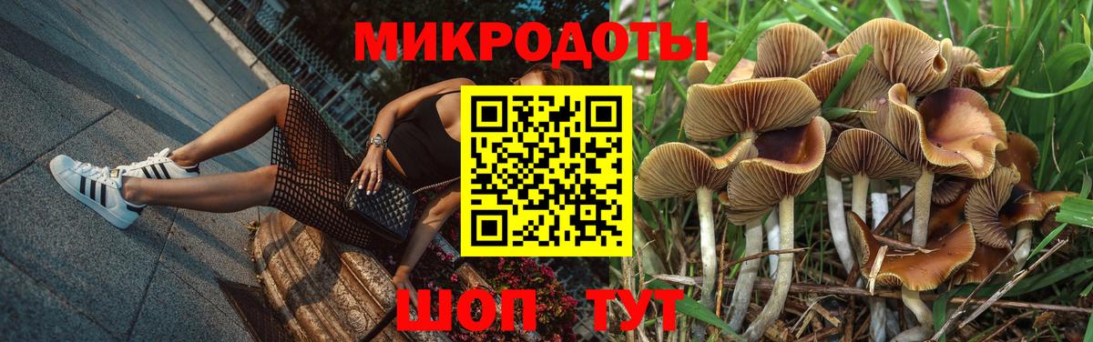 Псилоцибиновые грибы GOLDEN TEACHER  Вход с VPN  Лесосибирск 