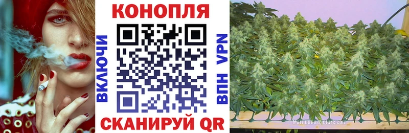 MEGA зеркало  Лесосибирск  Бошки марихуана тримм 